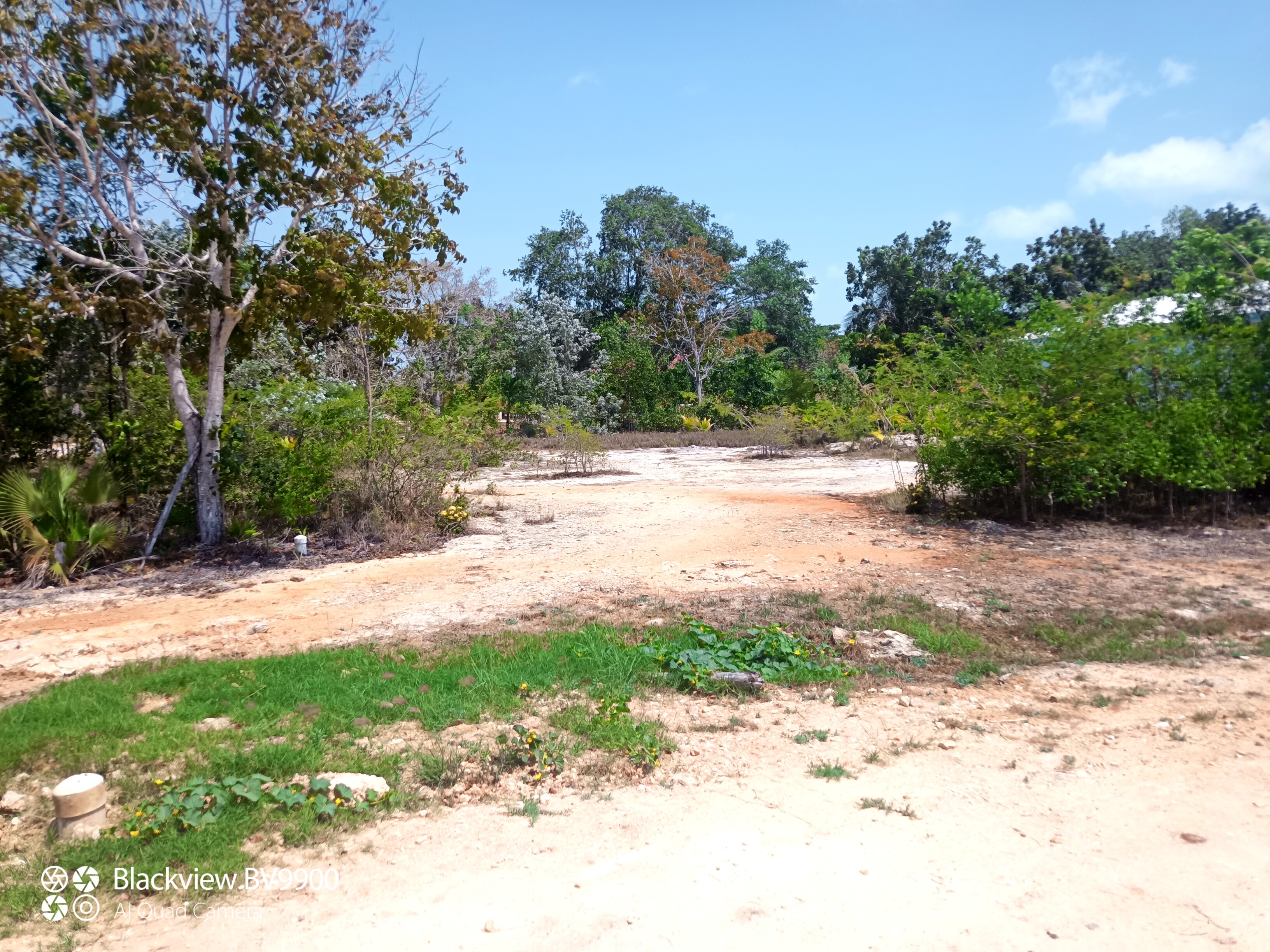 Remax real estate, Belize, Sarteneja, Vacant Lot in the Orchid Bay Community