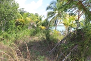 5 Acres lots in Punta Ycacos