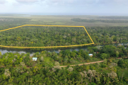 50 Acre Sittee Riverfront Jungle