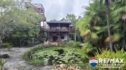 Home in Placencia on 1.49 Acres