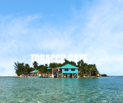 Island Oasis: Prime Interior Lot on Tobacco Caye