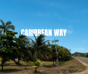 Charming Caribbean Way Lot
