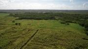 16 Acre Farm Land in San Narciso, Corozal