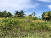 Tropical Lot in Independence Village