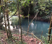 Riverfront Property in Belize With Endless Potential!