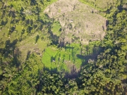 Exceptional Opportunity: 26.829 Acres of Prime Farm Land in the Village of Red Bank