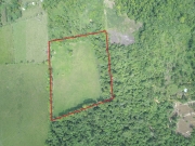 Prime Acreage for Sale Near Hopkins, Stann Creek District