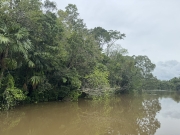 49 Acres of Untouched Jungle Paradise on the Moho River