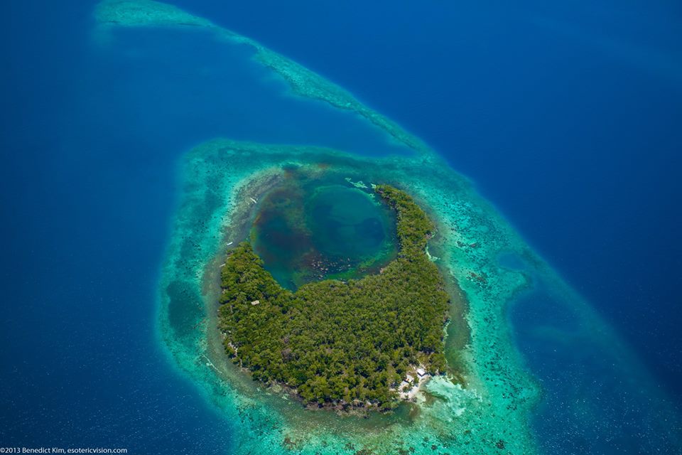 Belize Reef